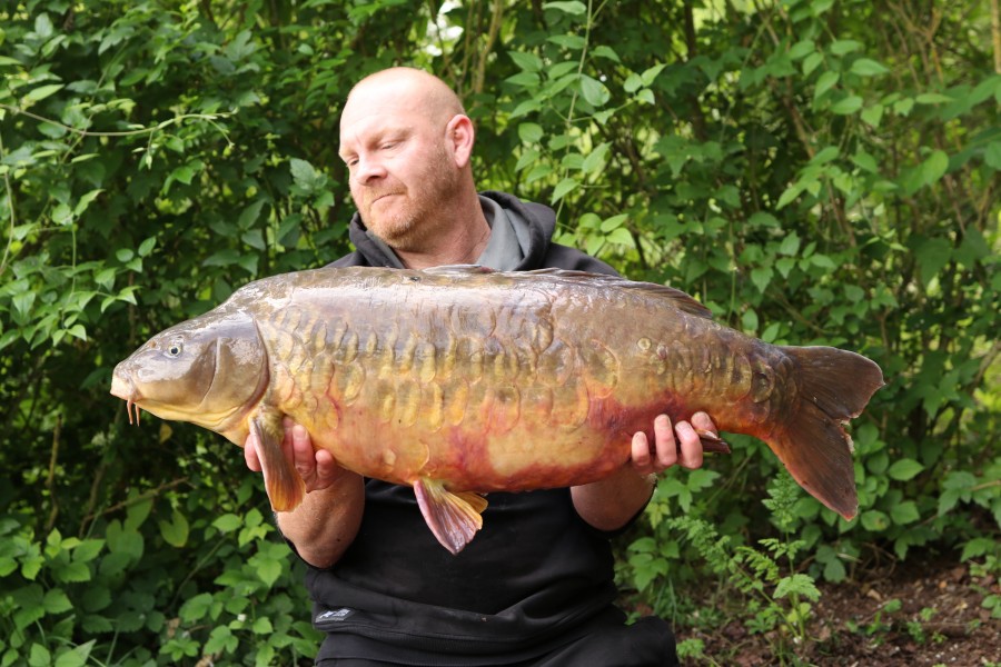 David with Red Belly 33lb 2oz