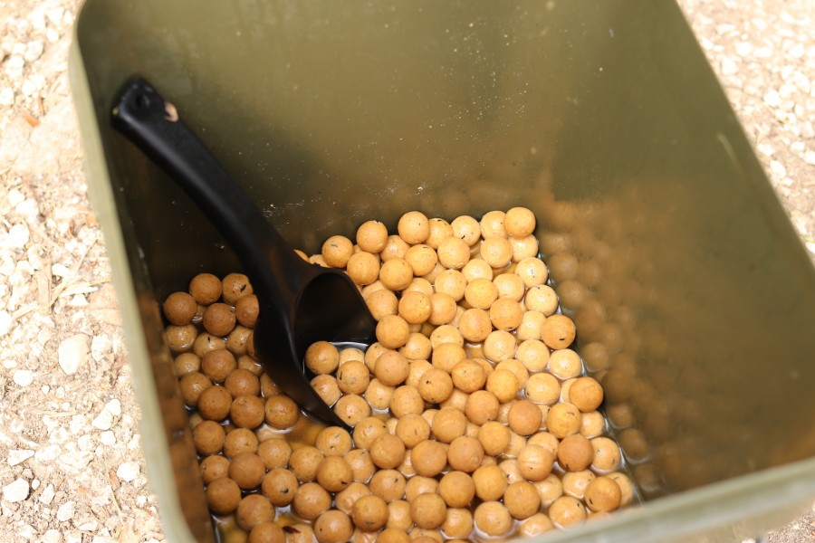 Soaked Boilies ready for Tree Line